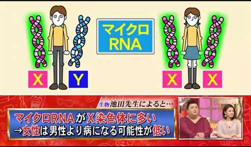 強い女 Vs 弱い男 徹底比較研究 Writerzlab