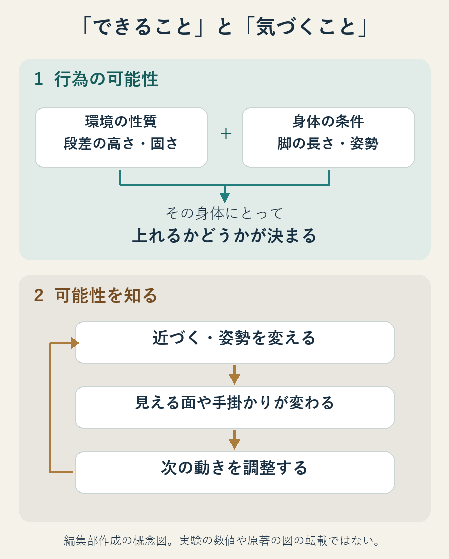 環境と身体の条件による行為の可能性と、動きながら情報を得る過程を分けた概念図