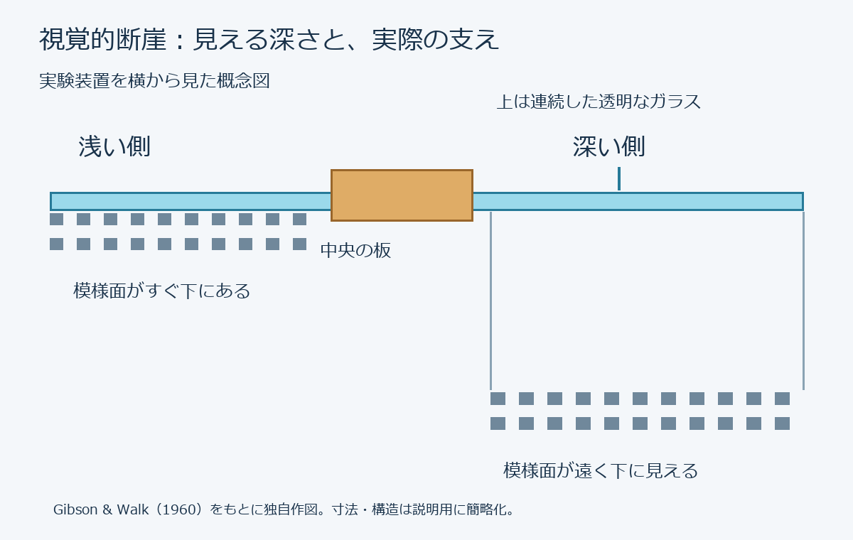 視覚的断崖の概念図。連続した透明なガラスの下に、浅い側と深い側の模様面がある。